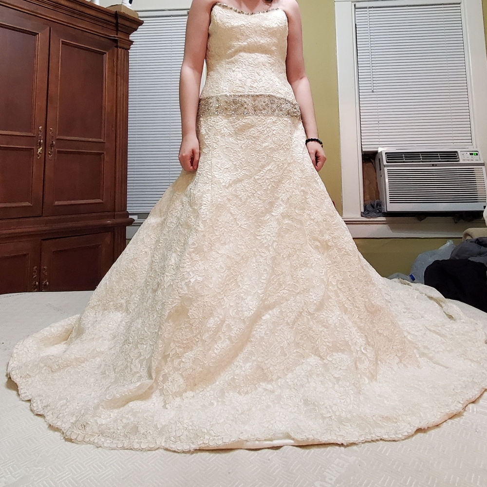 Henry Roth Beautiful Wedding Gown